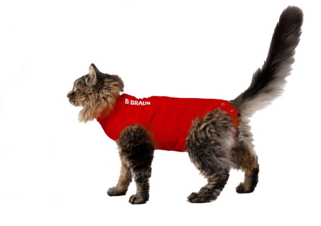 Camiseta quirúrgica gato